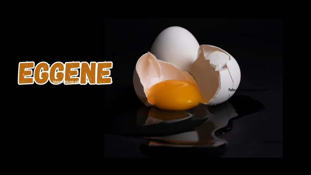 What is Eggene? Everything About