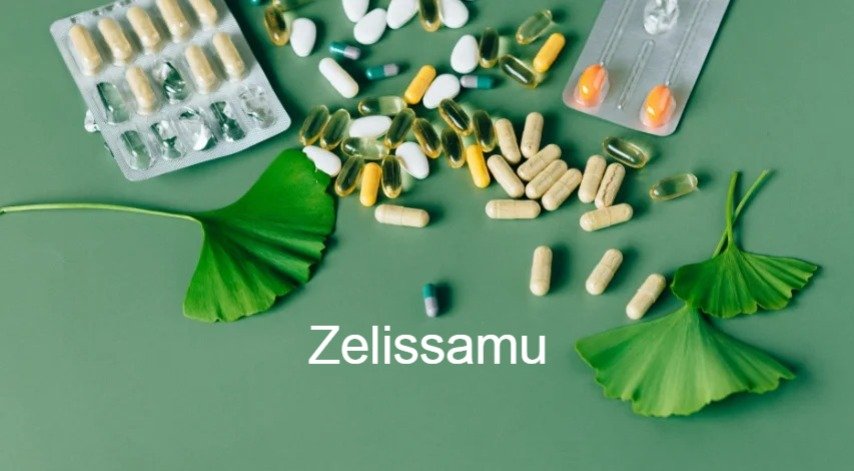 Zelissamu: A Deep Dive into a Fascinating Concept