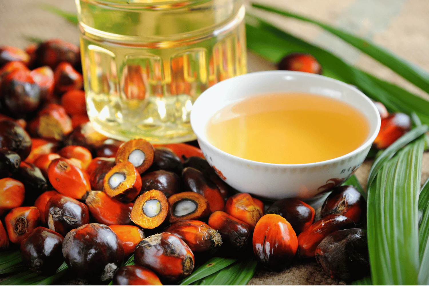 The Timeless Elixir: The Secrets of Batana Oil